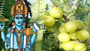 आंवला नवमी (अक्षय नवमी)