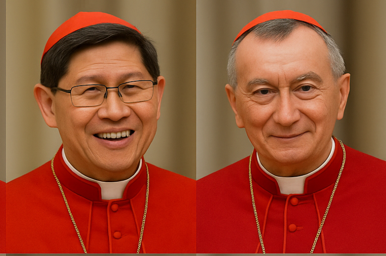 The Next Pope: A Defining Choice